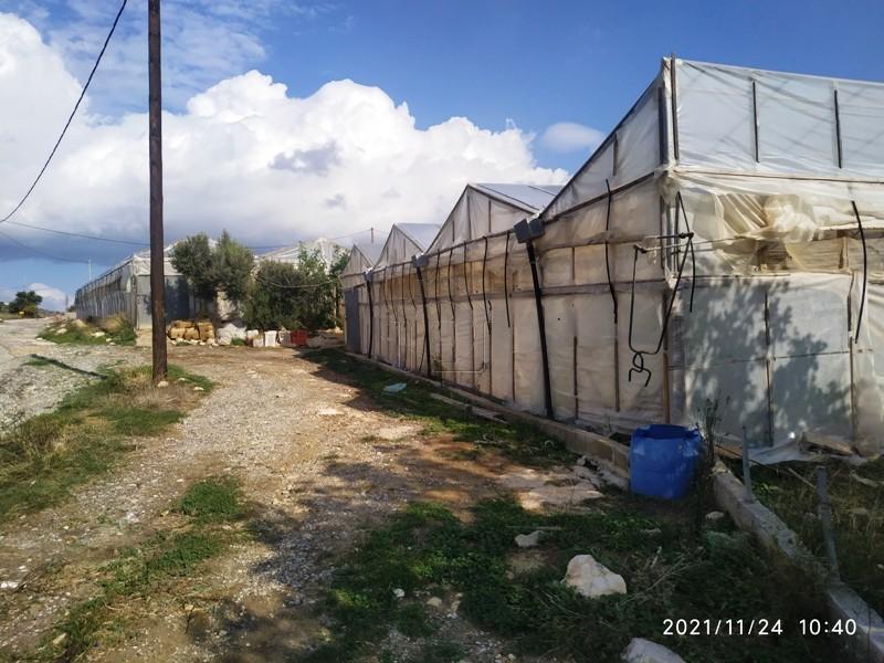 Αγροτεμάχια 12.500 τ.μ. πρός πώληση, Ν. Λασιθίου, Ιεράπετρα