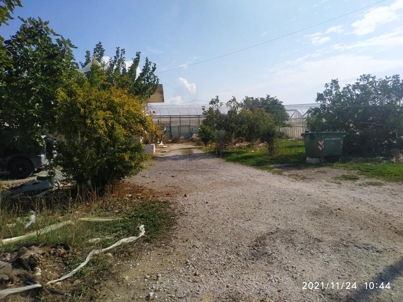 Αγροτεμάχια 12.500 τ.μ. πρός πώληση, Ν. Λασιθίου, Ιεράπετρα