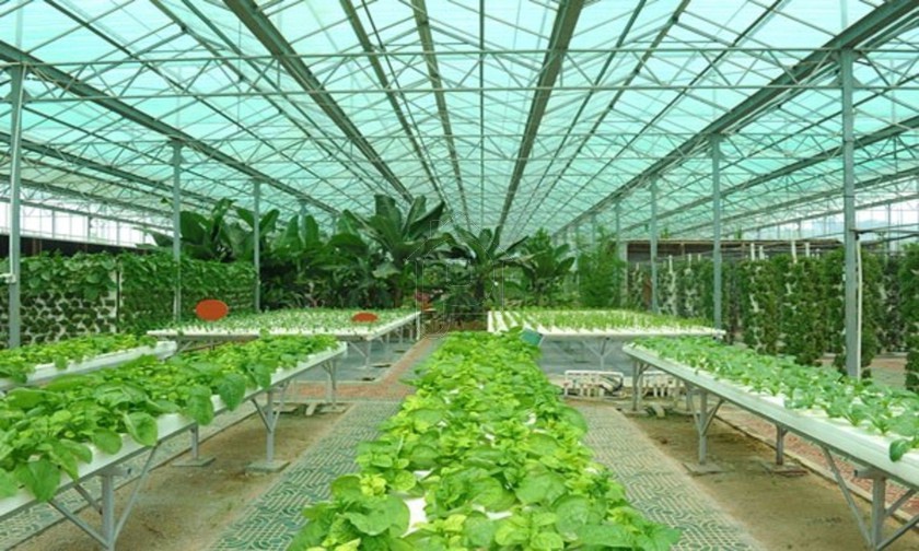 Craft space 15.000sqm for sale-Volos » Palaia
