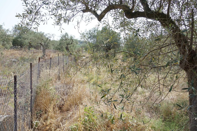 Parcel 739sqm for sale-Aisonia » Chrisi Akti Panagias