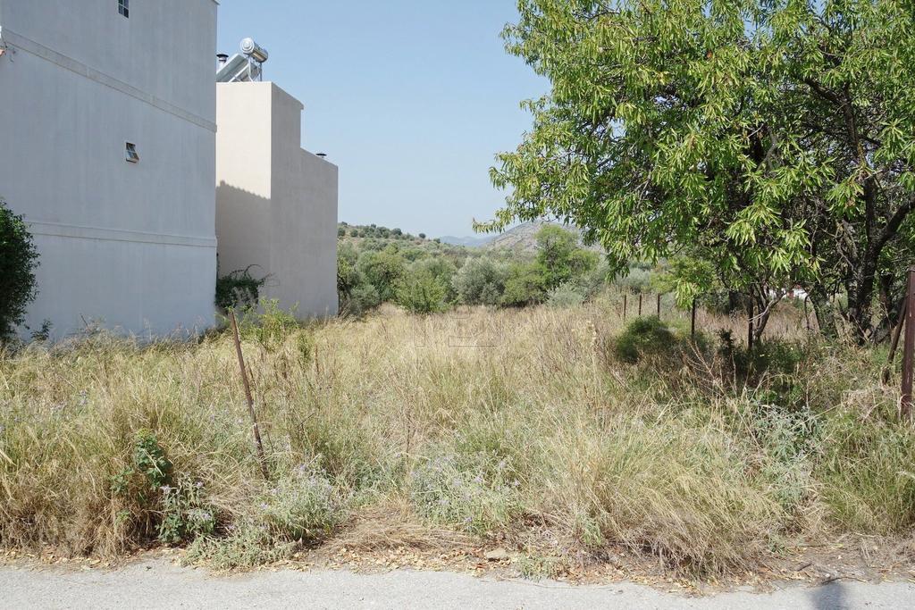 Οικόπεδο 299 τ.μ. πρός πώληση, Μαγνησία, Βόλος