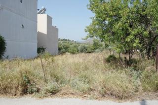 Οικόπεδο 299 τ.μ. για πώληση, Μαγνησία, Βόλος-thumb-1