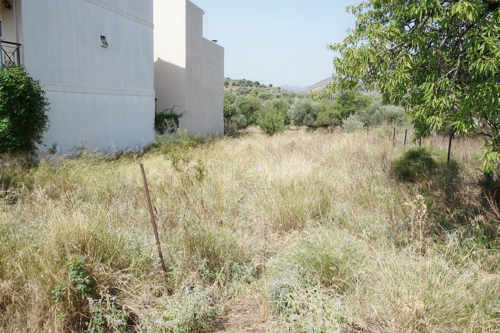 Οικόπεδο 299 τ.μ. πρός πώληση, Μαγνησία, Βόλος
