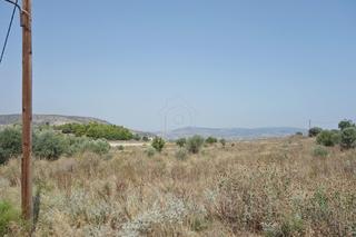 Οικόπεδο 299 τ.μ. για πώληση, Μαγνησία, Βόλος-thumb-11