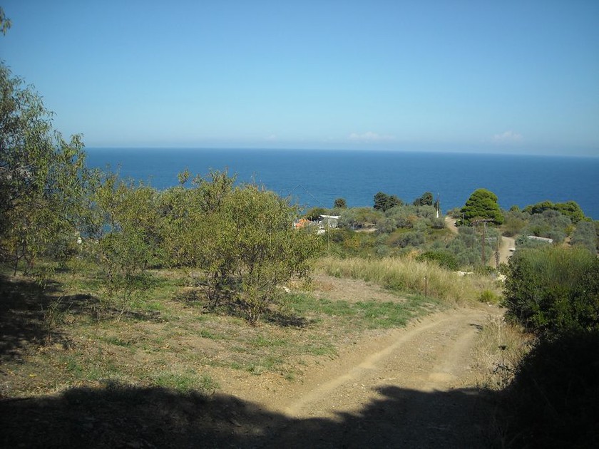 Parcel 4.200sqm for sale-Skopelos » Glossa