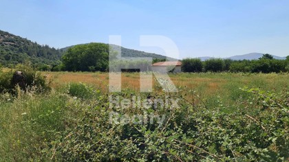 Land plot 5.300sqm for sale-Tripoli » Agios Konstantinos