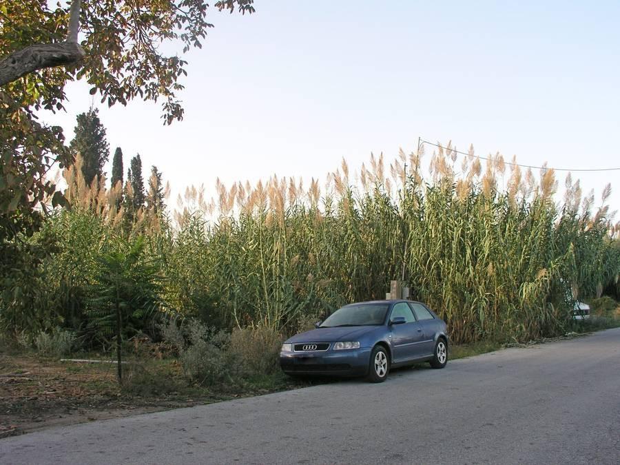 Αγροτεμάχια 4.363 τ.μ. πρός πώληση, Μαγνησία, Βόλος