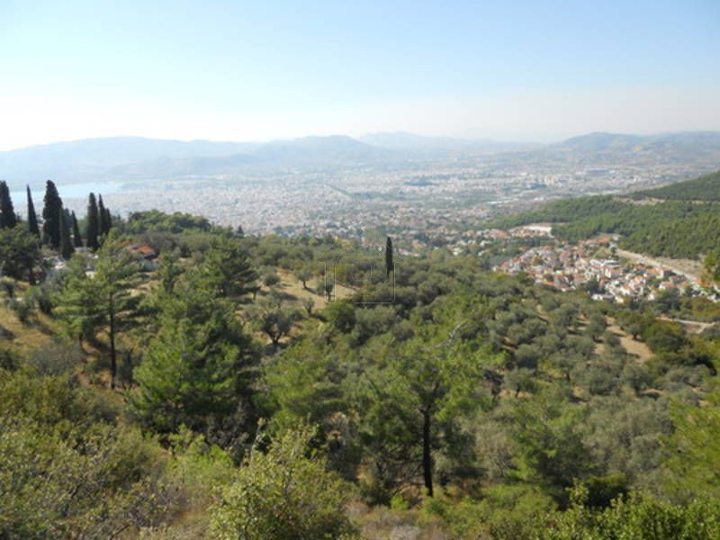 Land plot 6.557sqm for sale-Portaria » Stagiates