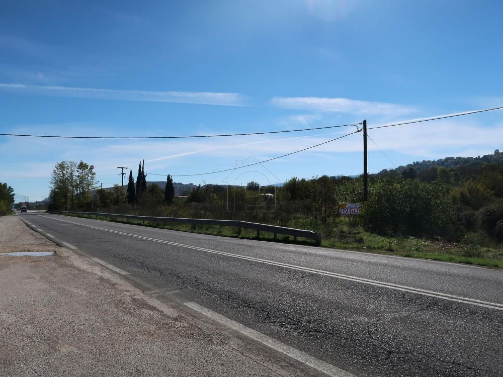 Αγροτεμάχια 11.855 τ.μ. προς πώληση, Ελεούσα Πασσαρώνας