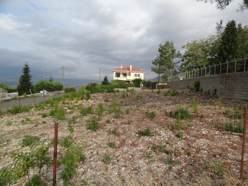 Land plot 625sqm for sale-Perama » Agioi Apostoloi