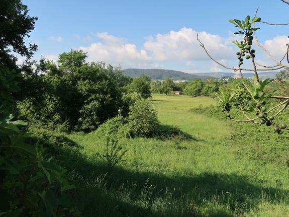 Land plot 5.463 sqm for sale, Ioannina Prefecture, Ioannina