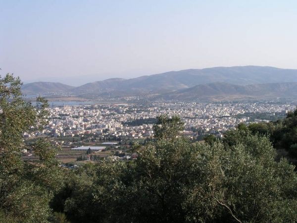 Parcel 4.630sqm for sale-Makrinitsa » Fitoko