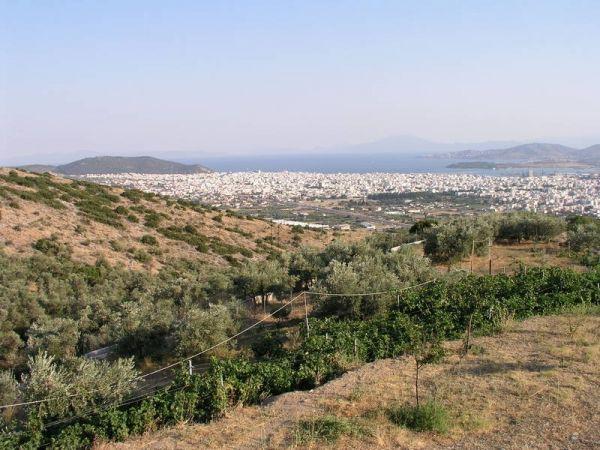 Αγροτεμάχια 4.630 τ.μ. πρός πώληση, Μαγνησία, Μακρινίτσα