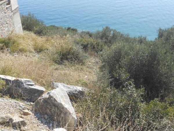Οικόπεδο 675 τ.μ. πρός πώληση, Μαγνησία, Νέα Αγχίαλος