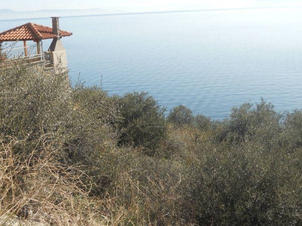 Οικόπεδο 675 τ.μ. πρός πώληση, Μαγνησία, Νέα Αγχίαλος