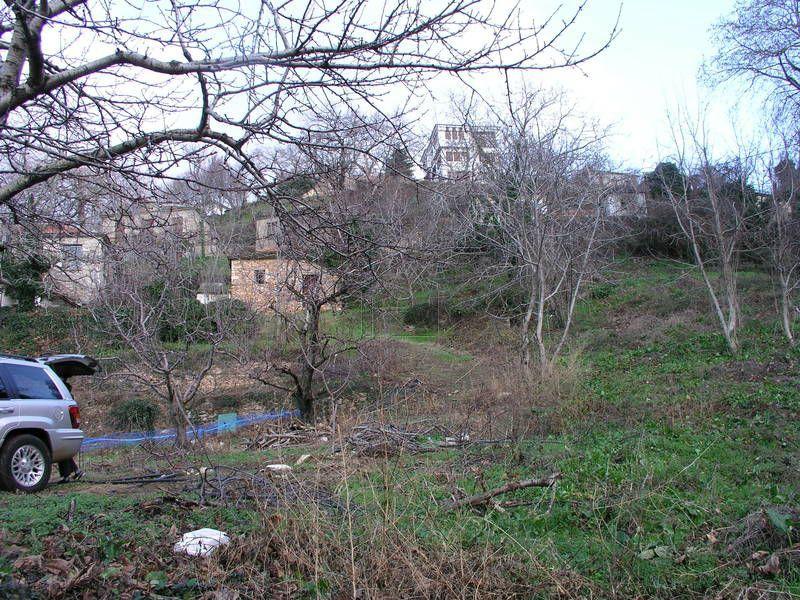Οικόπεδο 1.558 τ.μ. πρός πώληση, Μαγνησία, Μηλιές