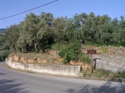 Land plot 6.000sqm for sale-Artemida » Strofilos