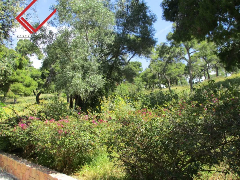 Land plot 600 sqm for sale, Athens - South, Alimos