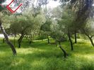 Land plot 310sqm for sale-Glyfada » Terpsithea