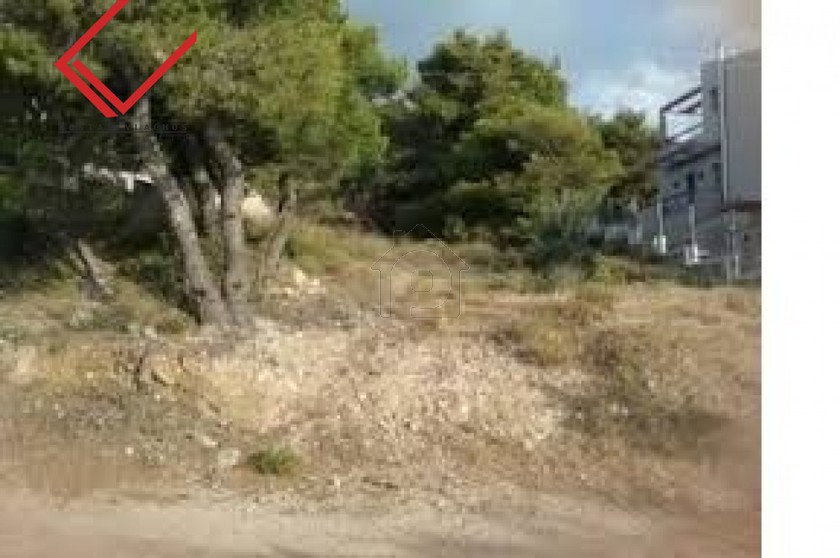 Οικόπεδο 133τ.μ. για πώληση-Δάφνη » Κάτω δάφνη