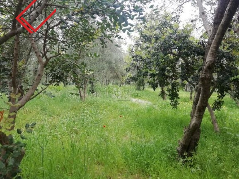 Οικόπεδο 784τ.μ. για πώληση-Σπέτσες » Μονή αγίων πάντων