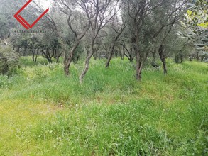 Land plot 840sqm for sale-Vari - Varkiza » Miladeza