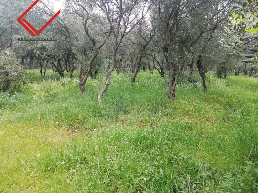 Land plot 840 sqm for sale, Athens - South, Vari - Varkiza