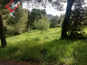 Land plot 2.000sqm for sale-Voula » Pigadakia