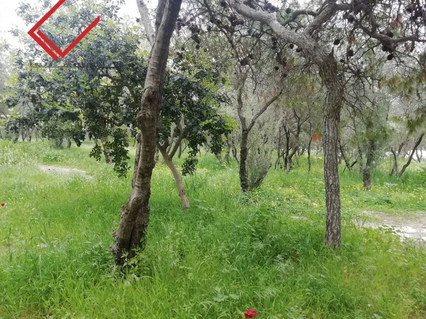 Land plot 2.064 sqm for sale, Athens - South, Vouliagmeni