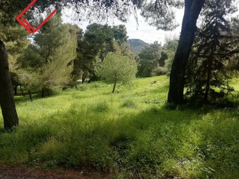 Land plot 1.210 sqm for sale, Athens - South, Voula