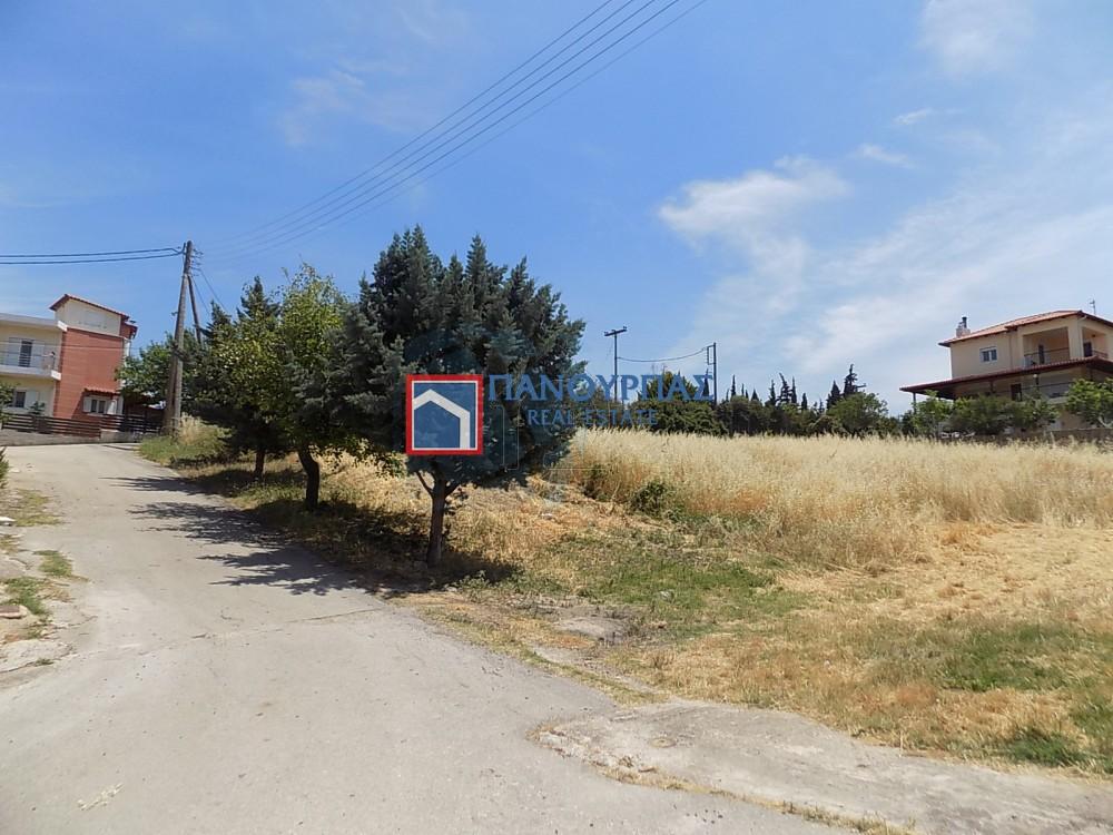Οικόπεδο 1.300 τ.μ. πρός πώληση, Φθιώτιδας, Λαμία