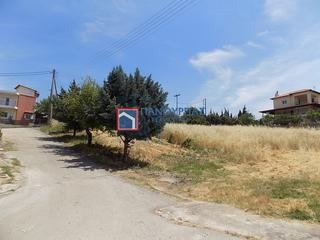 Land plot 1.300 sqm for sale