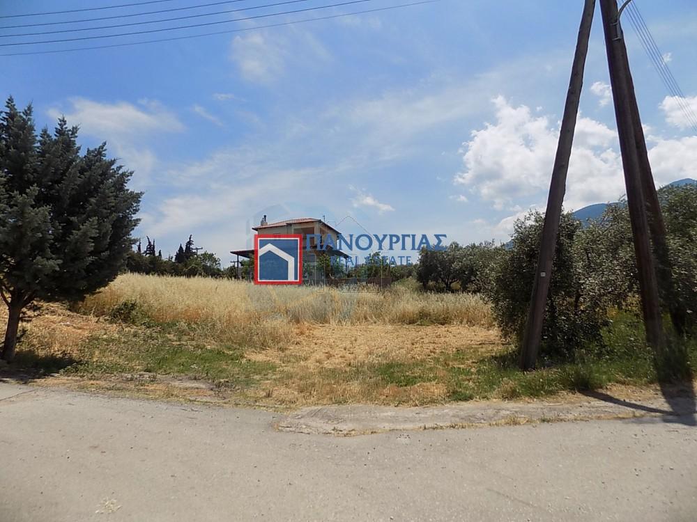 Οικόπεδο 1.300 τ.μ. πρός πώληση, Φθιώτιδας, Λαμία