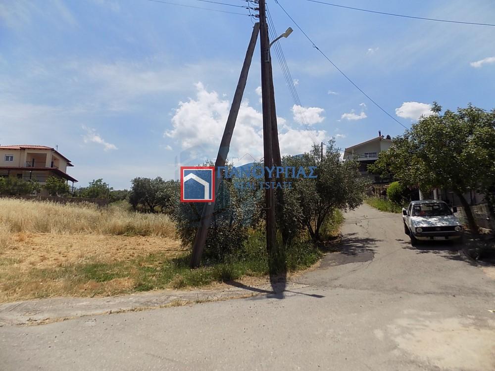 Οικόπεδο 1.300 τ.μ. πρός πώληση, Φθιώτιδας, Λαμία