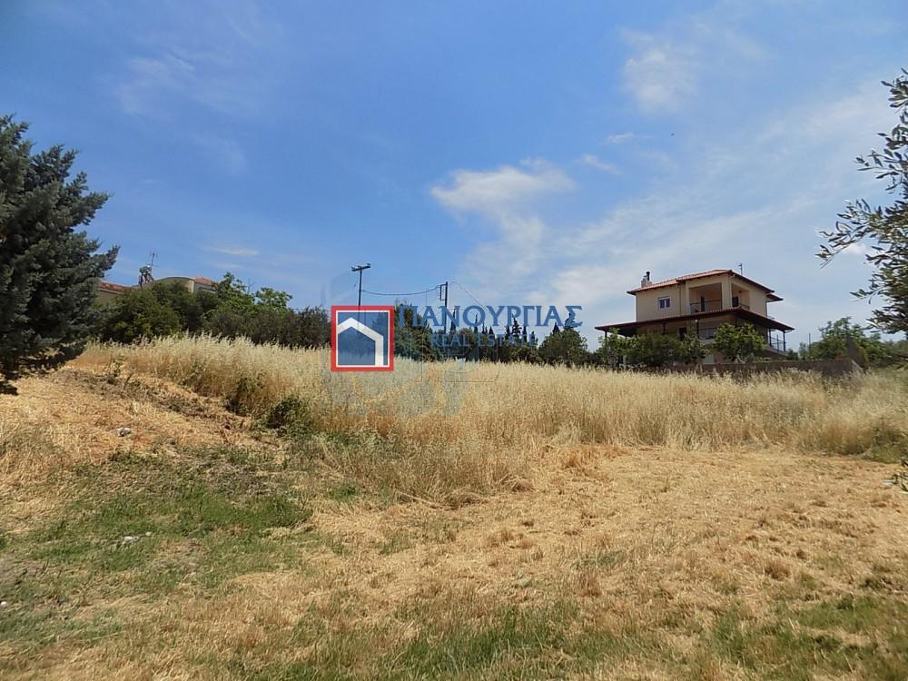 Οικόπεδο 1.300 τ.μ. πρός πώληση, Φθιώτιδας, Λαμία