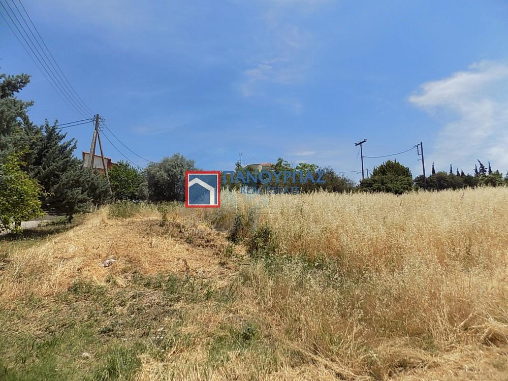 Οικόπεδο 1.300 τ.μ. πρός πώληση, Φθιώτιδας, Λαμία