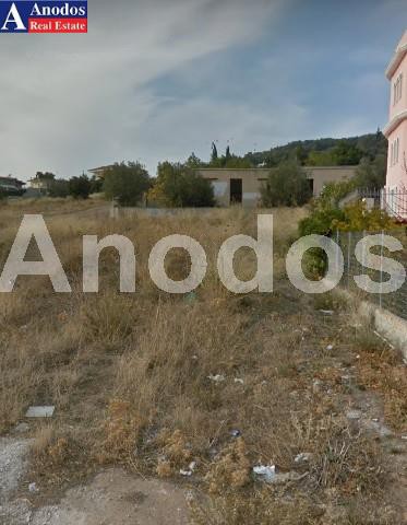 Οικόπεδο 560τ.μ. για πώληση-Αρτέμιδα (λούτσα) » Κέντρο