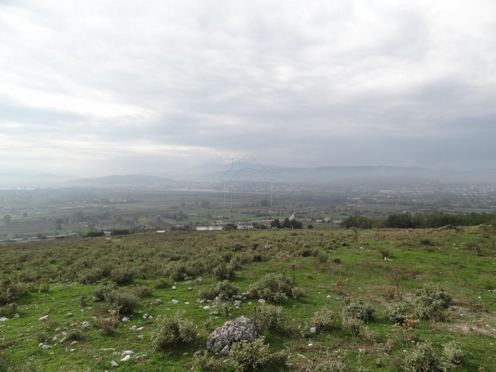 Αγροτεμάχια 4.003 τ.μ. προς πώληση, Αγία Μαρίνα Περάματος