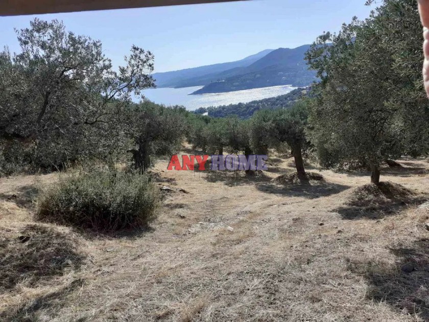 Αγροτεμάχια 10.000τ.μ. για πώληση-Σιθωνία » Σαλονικιού