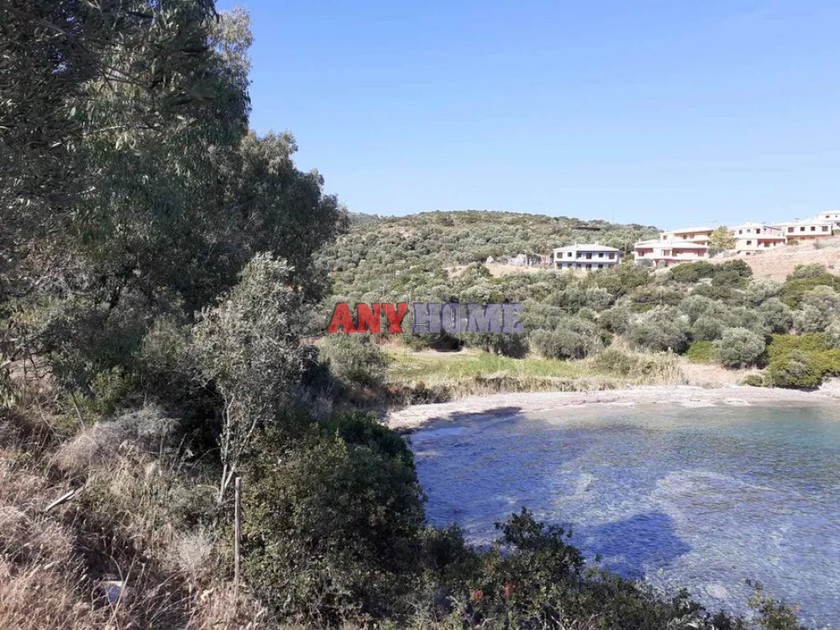 Αγροτεμάχια 2.800τ.μ. για πώληση-Σιθωνία » Σαλονικιού