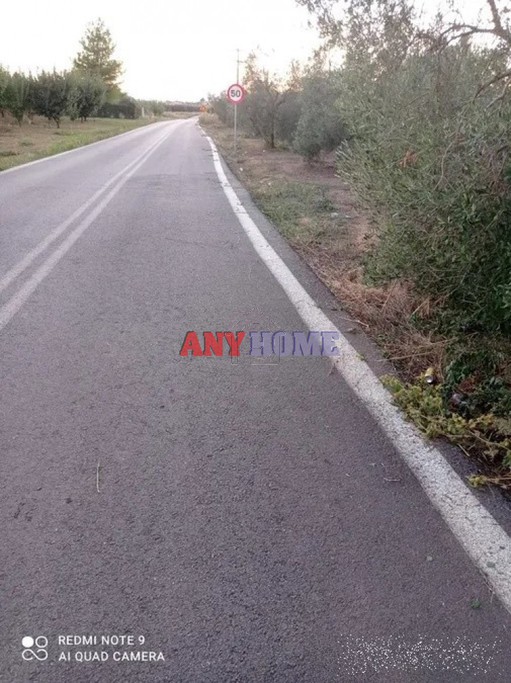 Αγροτεμάχια 6.600 τ.μ. για πώληση