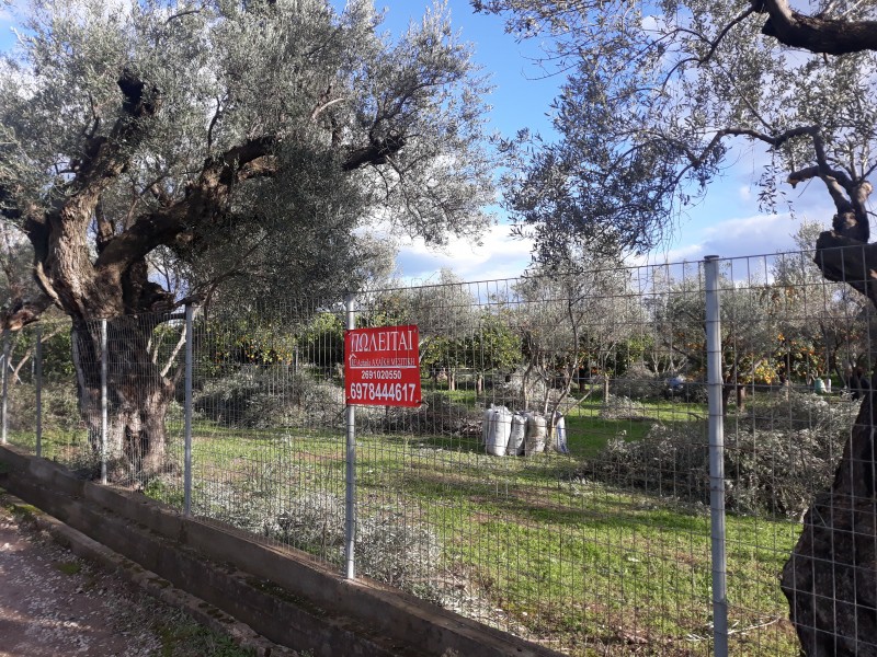 Αγροτεμάχια 1.800τ.μ. για πώληση-Αίγιο » Τέμενη