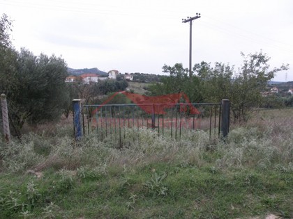 Land plot 1.003sqm for sale-Chortiatis » Filiro