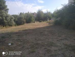 Οικόπεδο 593 τ.μ. για πώληση, Βοιωτία, Σχηματάρι-thumb-2