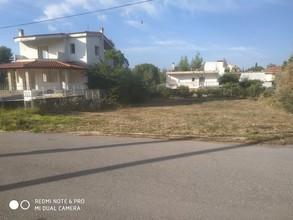 Οικόπεδο 593 τ.μ. για πώληση, Βοιωτία, Σχηματάρι-thumb-3