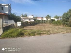 Οικόπεδο 593 τ.μ. για πώληση, Βοιωτία, Σχηματάρι-thumb-4