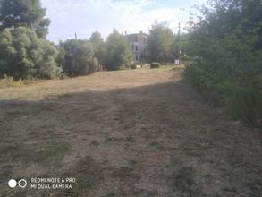 Οικόπεδο 593 τ.μ. για πώληση, Βοιωτία, Σχηματάρι-thumb-5