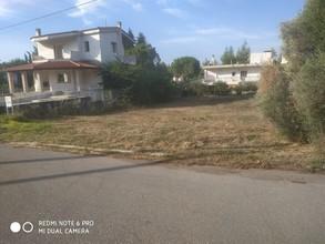 Οικόπεδο 593 τ.μ. για πώληση, Βοιωτία, Σχηματάρι-thumb-7