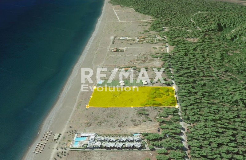 Αγροτεμάχια 20.000 τ.μ. για πώληση