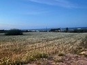 Land plot 11.000sqm for rent-Santorini » Thira